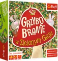 Grzybobranie w zielonym gaju - tantis.pl