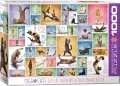 Puzzle 1000. Joga koty - tantis.pl