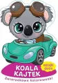 Zwierzakowe kolorowanki. Koala Kajtek - tantis.pl