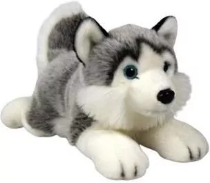 Pies Husky 27cm - tantis.pl