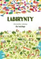 Labirynty. Niezwykła zabawa dla każdego - tantis.pl