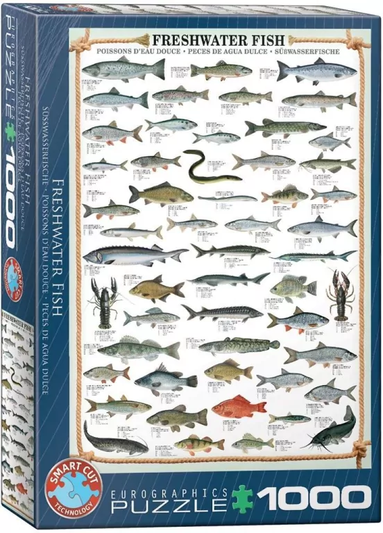 Puzzle 1000. Freshwater Fish 6000-0312 - tantis.pl