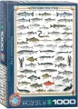 Puzzle 1000. Freshwater Fish 6000-0312 - tantis.pl