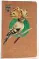Notes Green Mind  Green Life Dudek - tantis.pl