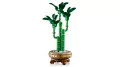 LEGO® Dracena sandera 10344 - tantis.pl