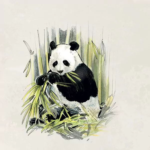 REBEL. Śladami Darwina - tantis.pl