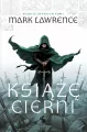 Rozbite Imperium T.1 Książę cierni - tantis.pl
