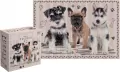 Puzzle 250 Puppy Sign 2 - tantis.pl