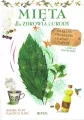 Mięta. Dla zdrowia i urody - tantis.pl