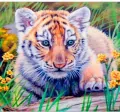 Mozaika diamentowa 5D - Tygrys 40x30cm - tantis.pl