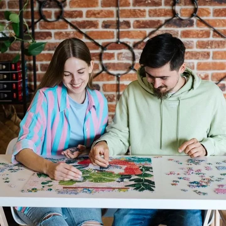 Puzzle 1000. Nie ma to jak w domu. 10892 - tantis.pl