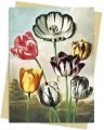 Karnet B6 Tulipany Temple of Flora - tantis.pl