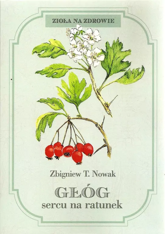 Głóg sercu na ratunek - tantis.pl