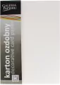 KARTON OZD A4 BIA 230G GAL PAP HOLLAND FOL OP20S - tantis.pl