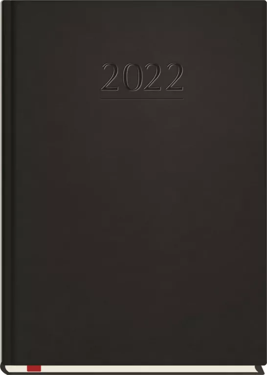 Terminarz 2021 Popularny MiP czarny - tantis.pl