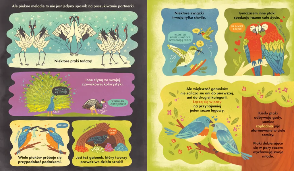 Co się kryje w gnieździe? - tantis.pl