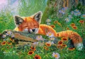 Puzzle 500. Foxy Dreams - tantis.pl