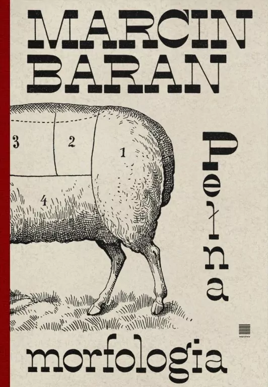 Pełna morfologia - tantis.pl