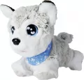 Happy Husky. Chi Chi Love - tantis.pl