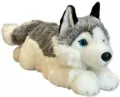 Pies Husky 42cm - tantis.pl