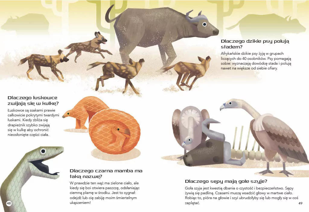 200 ciekawostek. Zwierzęta świata - tantis.pl