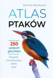 Atlas ptaków. 250 polskich gatunków