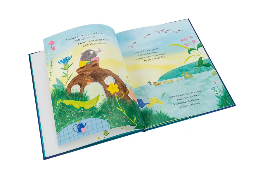 Wielkie marzenie małego Krecika - tantis.pl