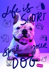 Zeszyt A4/60K kratka Basic mix  MAR MAR