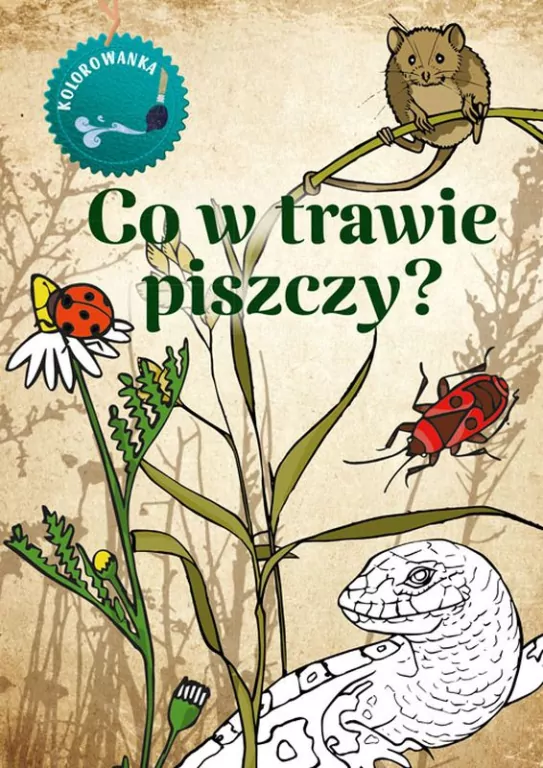 Kolorowanka. Co w trawie piszczy? - tantis.pl