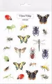 Naklejki. Owady - tantis.pl