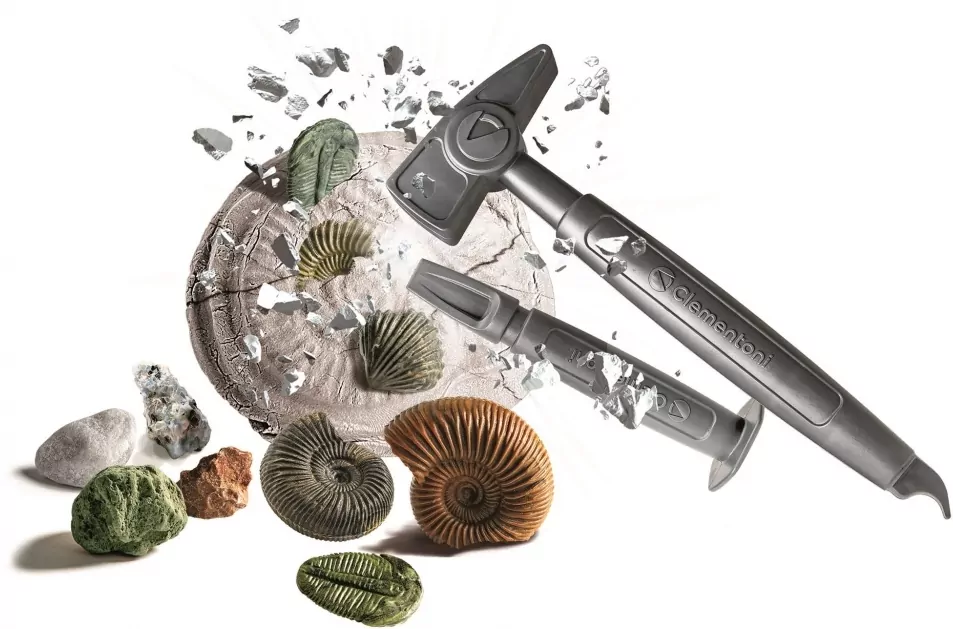 Naukowa zabawa. Skamieliny i minerały - tantis.pl