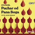 Puchar od Pana Boga audiobook - tantis.pl