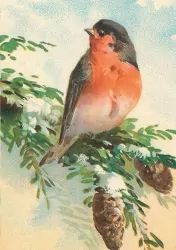 Karnet ST440 B6 + koperta Gil Święta BN