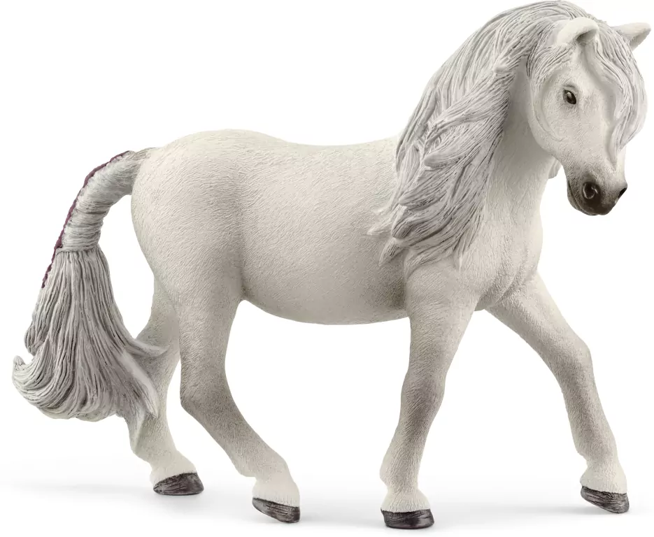 Klacz konia islandzkiego 13942 - tantis.pl