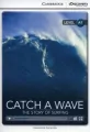 Catch a Wave: The Story of Surfing Beginning B - tantis.pl