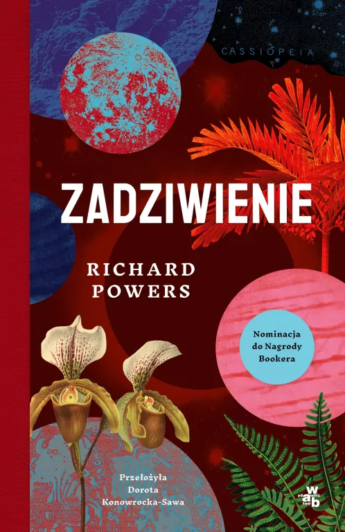 Zadziwienie - tantis.pl