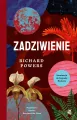 Zadziwienie - tantis.pl
