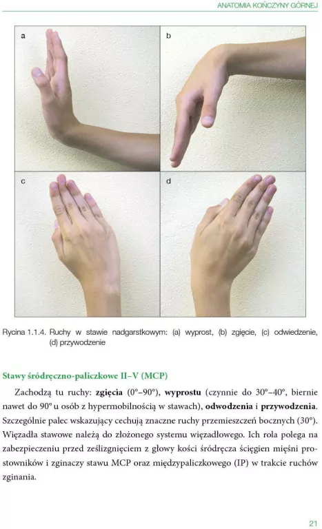 Smart Hand Model. Diagnoza i terapia ręki u dzieci - tantis.pl