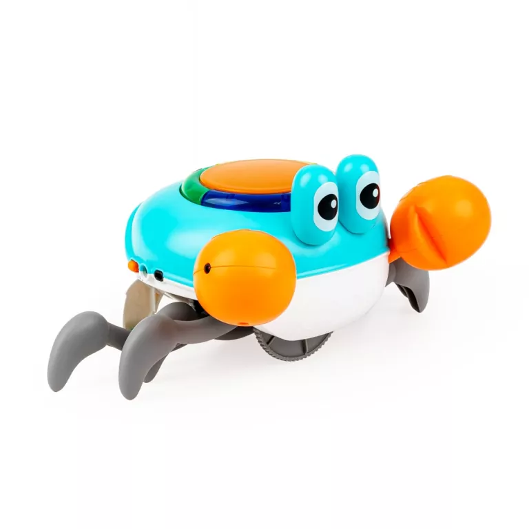 Krab mądrala - tantis.pl