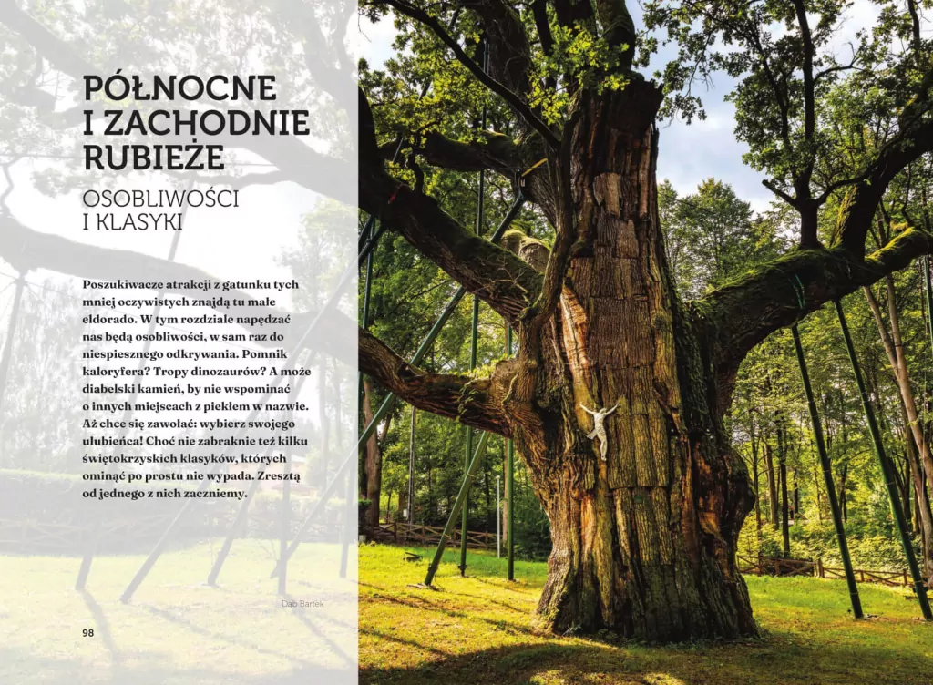 Góry Świętokrzyskie i Ziemia Sandomierska. Slow przewodnik - tantis.pl