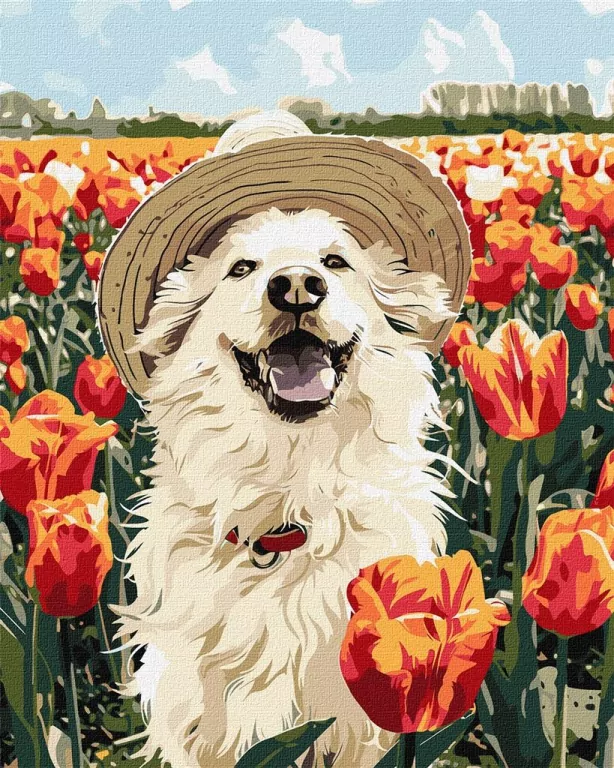 Malowanie po numerach -Szczęśliwy labrador 40x50cm - tantis.pl