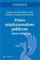 Prawo międzynarodowe publiczne - zarys systemu - tantis.pl