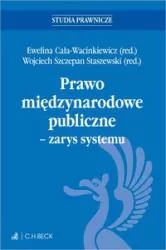 Prawo międzynarodowe publiczne - zarys systemu