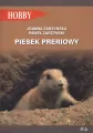 Piesek preriowy - tantis.pl