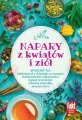 Napary z kwiatów i ziół - tantis.pl