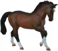 Ogier Warmblood Stallion - Bay - tantis.pl