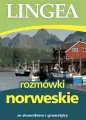 Rozmówki norweskie ze słownikiem i gramatyką - tantis.pl