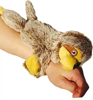 Mój przyjaciel leniwiec - tantis.pl