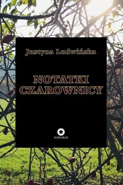 Notatki czarownicy - tantis.pl