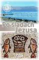 Po śladach Jezusa. Przewodnik po sanktuariach Ziemii Świętej - tantis.pl